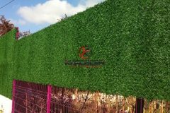 yesil-cim-cit